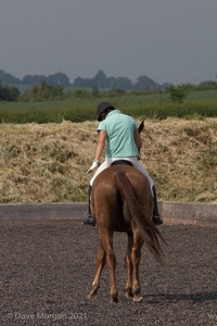 ISIS Dressage Challenge 2008